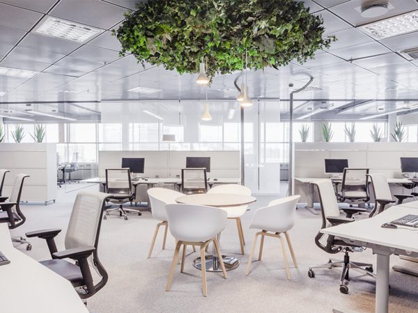Thiết kế nội thất văn phòng có không gian xanh
