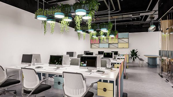 Trang trí cây xanh khiến không gian văn phòng trông thân thiện hơn